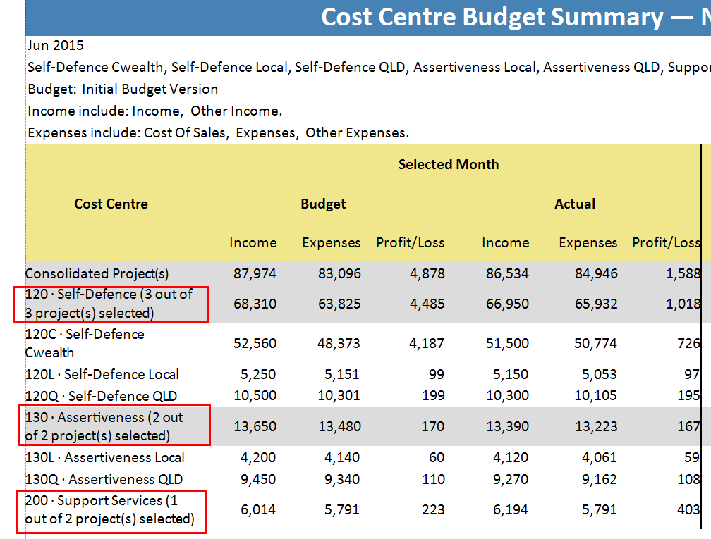 budget summary example