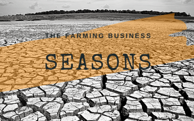 Easy Seasonal Budgets for Farmers