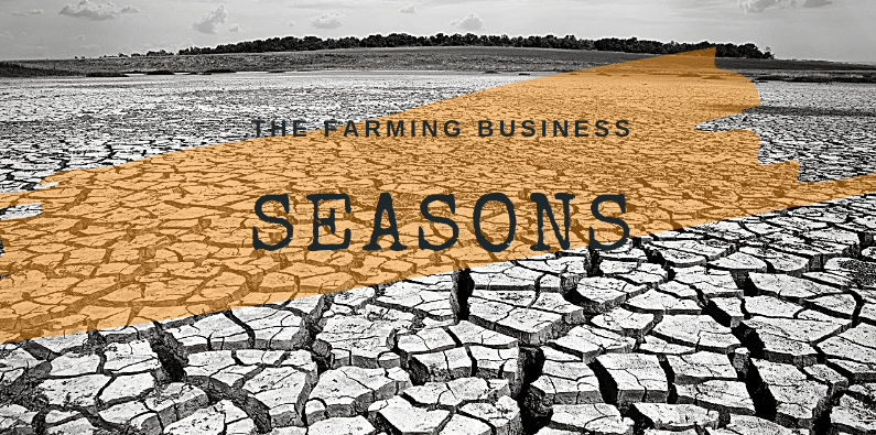 Seasonal Budgets for Farmers