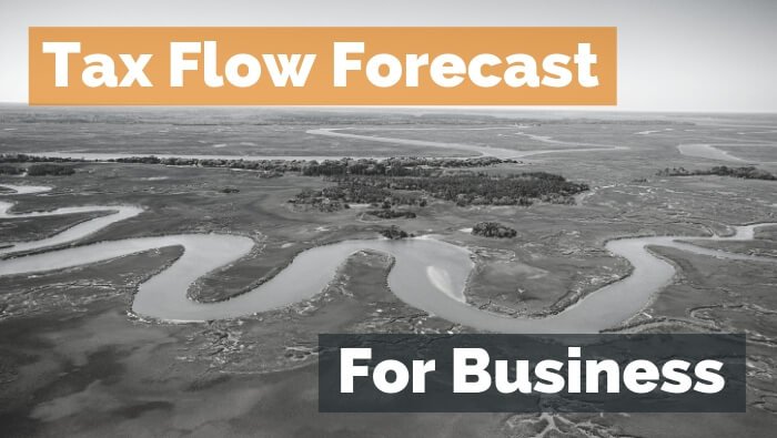 Tax Flow Forecast for Business