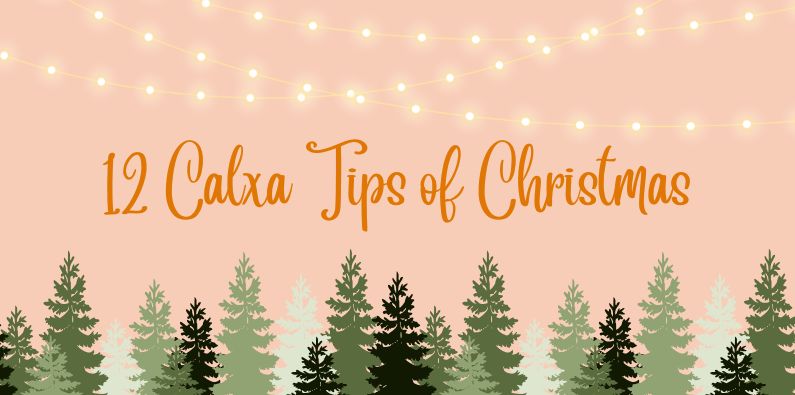 12 Calxa Tips of Christmas 2024