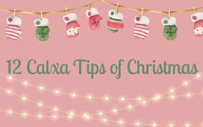 The 12 Calxa Tips of Christmas