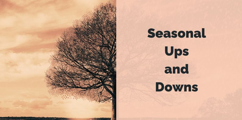 Seasonal Cash Flow: Strategies to Manage the Ups and Downs