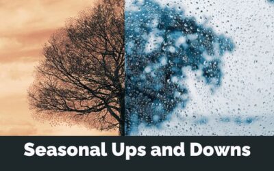Seasonal Cash Flow: Strategies to Manage the Ups and Downs
