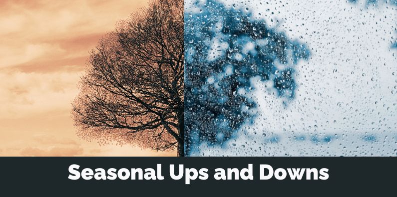 Seasonal Cash Flow Ups and Downs - 2025