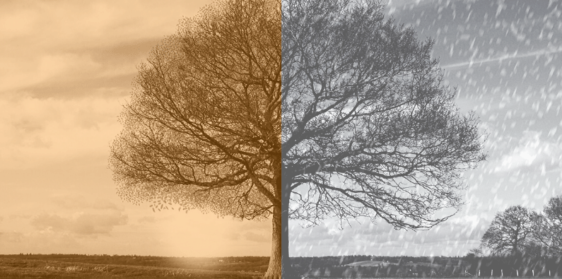 Manage Seasonal Cash Flow