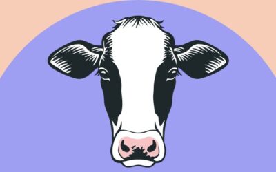 KPIs for Dairy Farms
