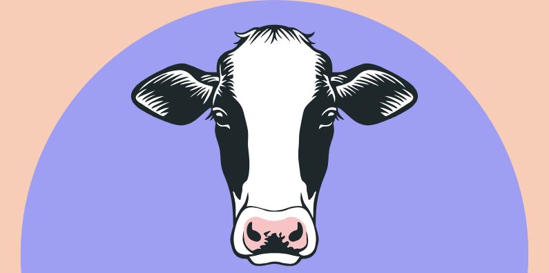 KPIs for Dairy Farms