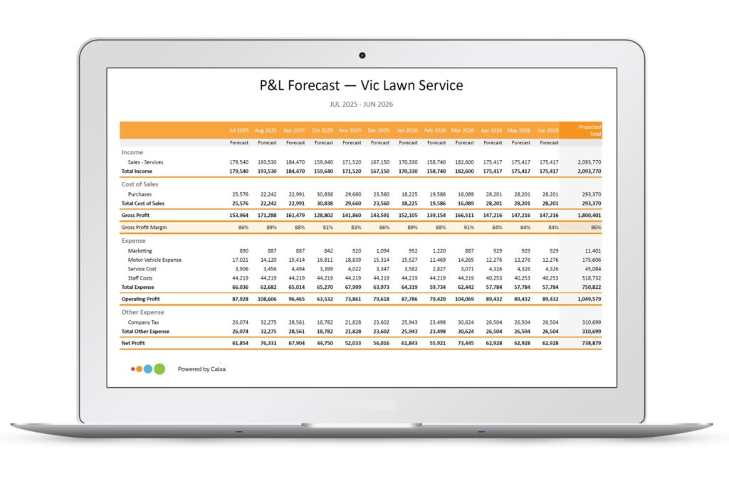 2025 12-Month Profit Forecast Report