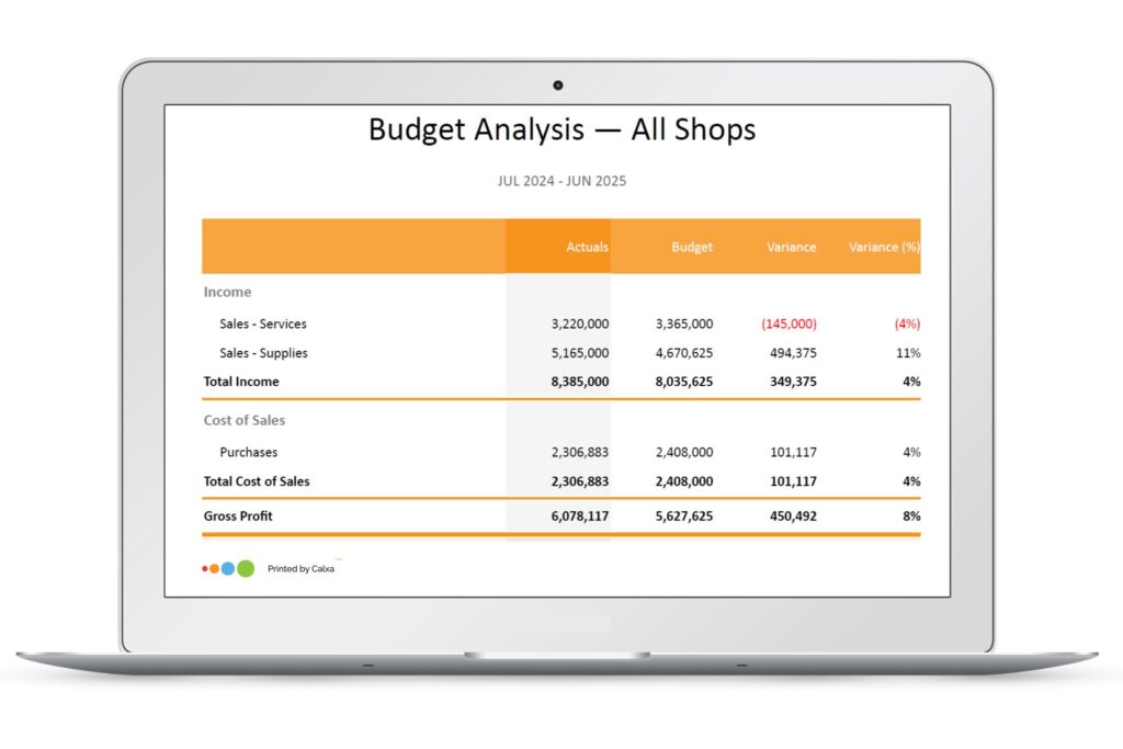 2025 Budget Analysis Report