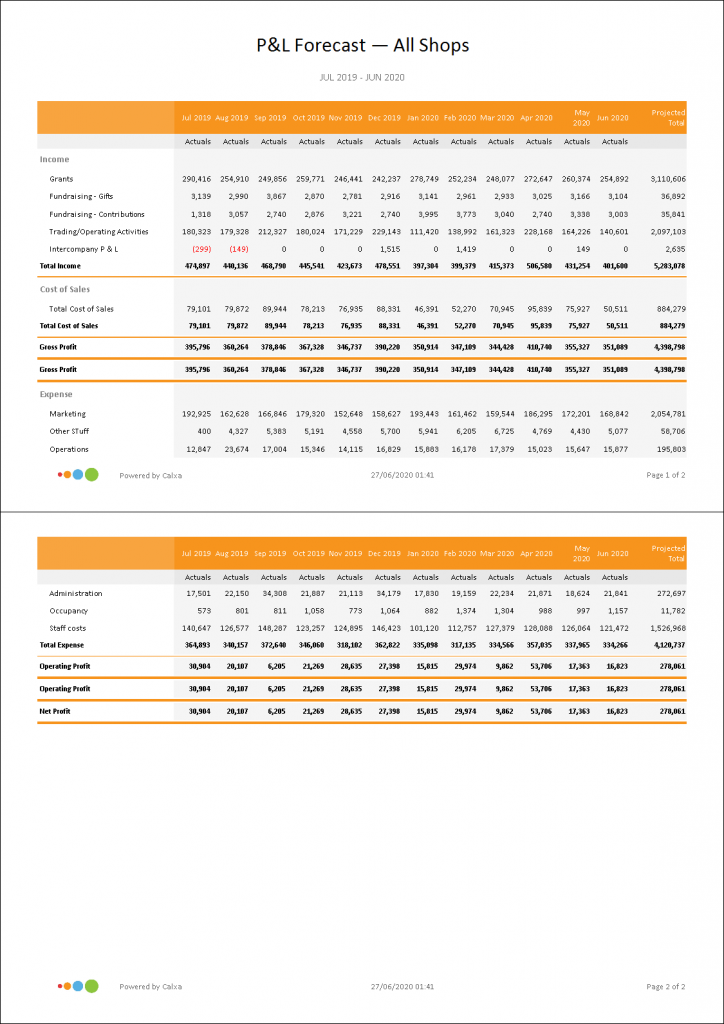 P&L with Projected Total for 12 Months Report