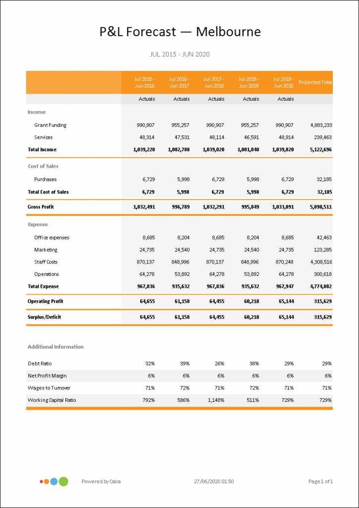 P&L with Projected Total for 5 Years Report