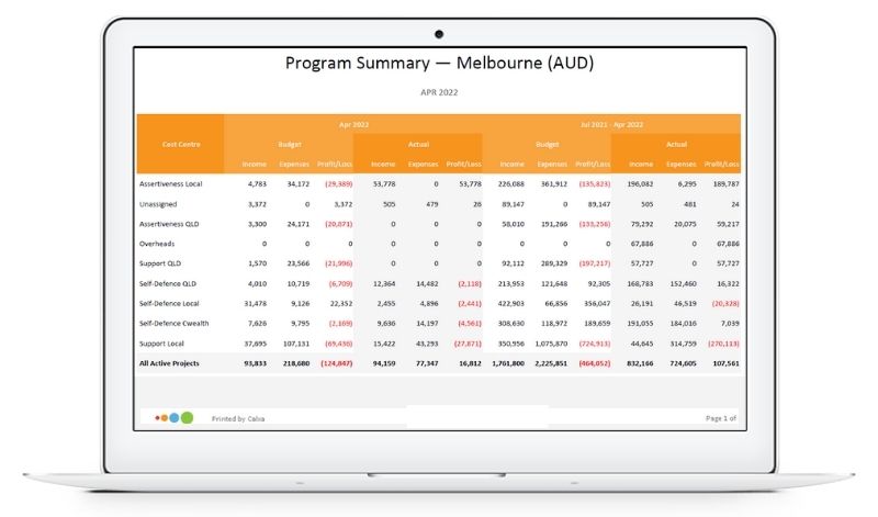 Board Reports - Program Summary