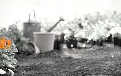 How to Manage Your Cash Flow for Growth