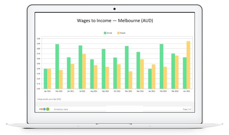 Reports for Not for Profits - Wages to Income