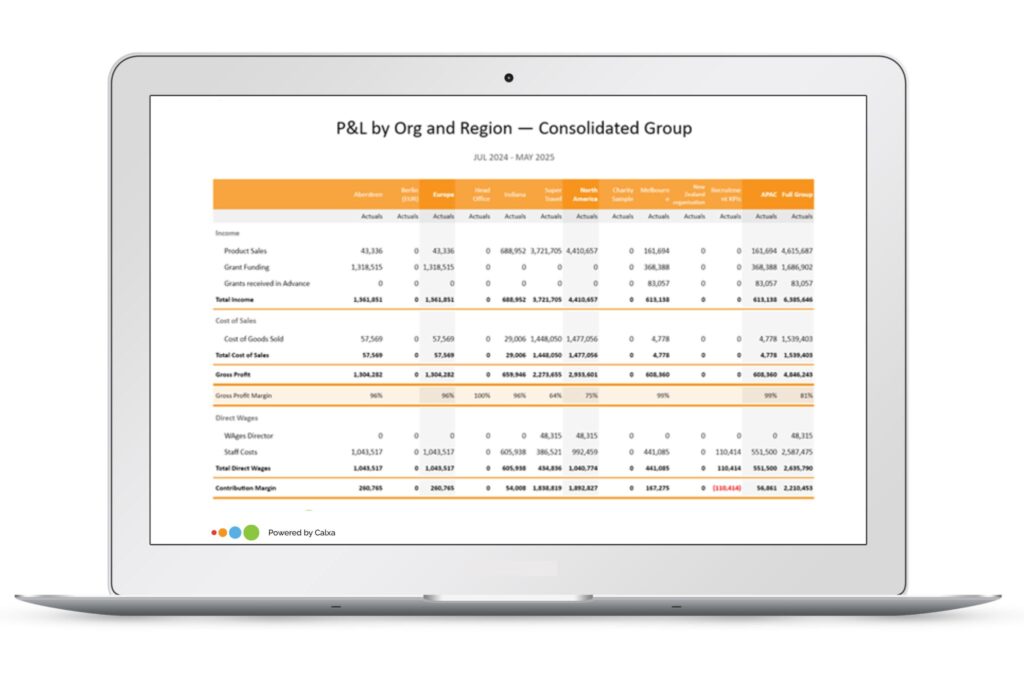 2025 P and L by Multi-Company and Region Report