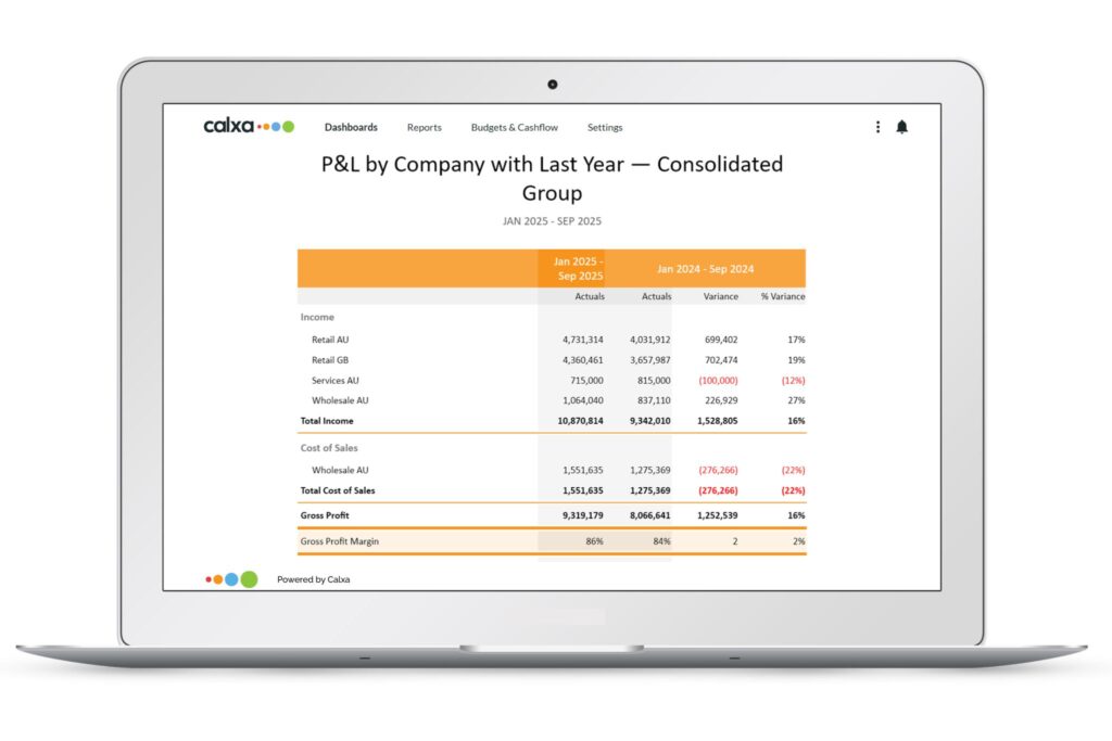 2025 Profit and Loss with Last Year Consolidated Report
