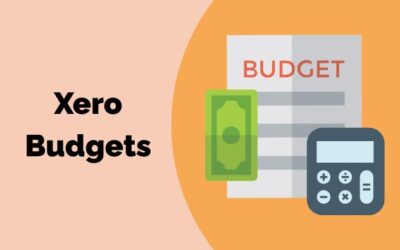 Xero Budget Reports: How to Master the Art