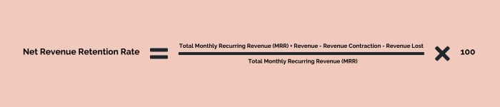 10 Common SaaS KPIs - NRRR