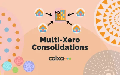 Xero Tech Stack for Consolidated Groups