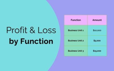 Create a Profit and Loss by Function