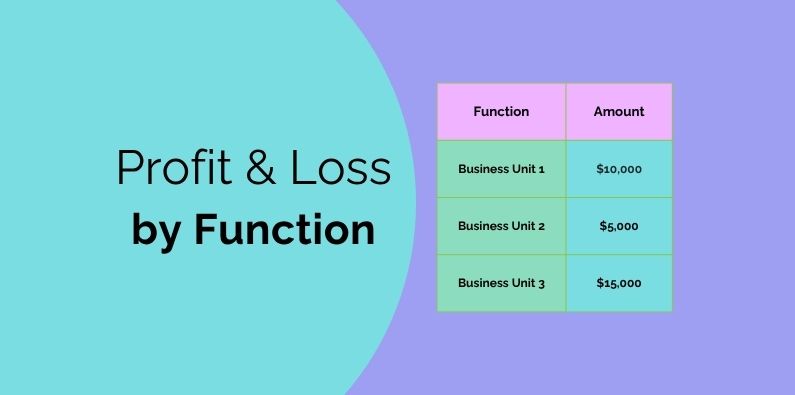 Create a Profit and Loss by Function